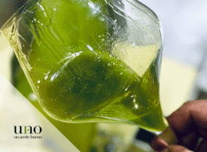 Preguntas de calidad sobre el AOVE